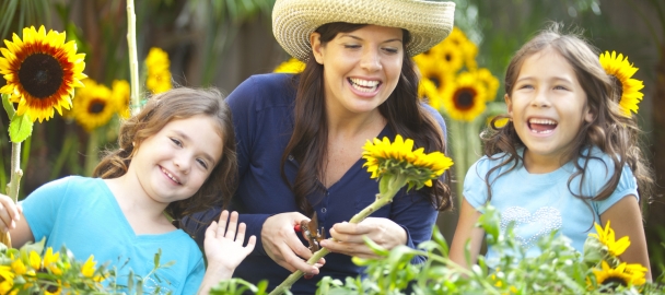 Image of mom and children in a field of sunflowers
