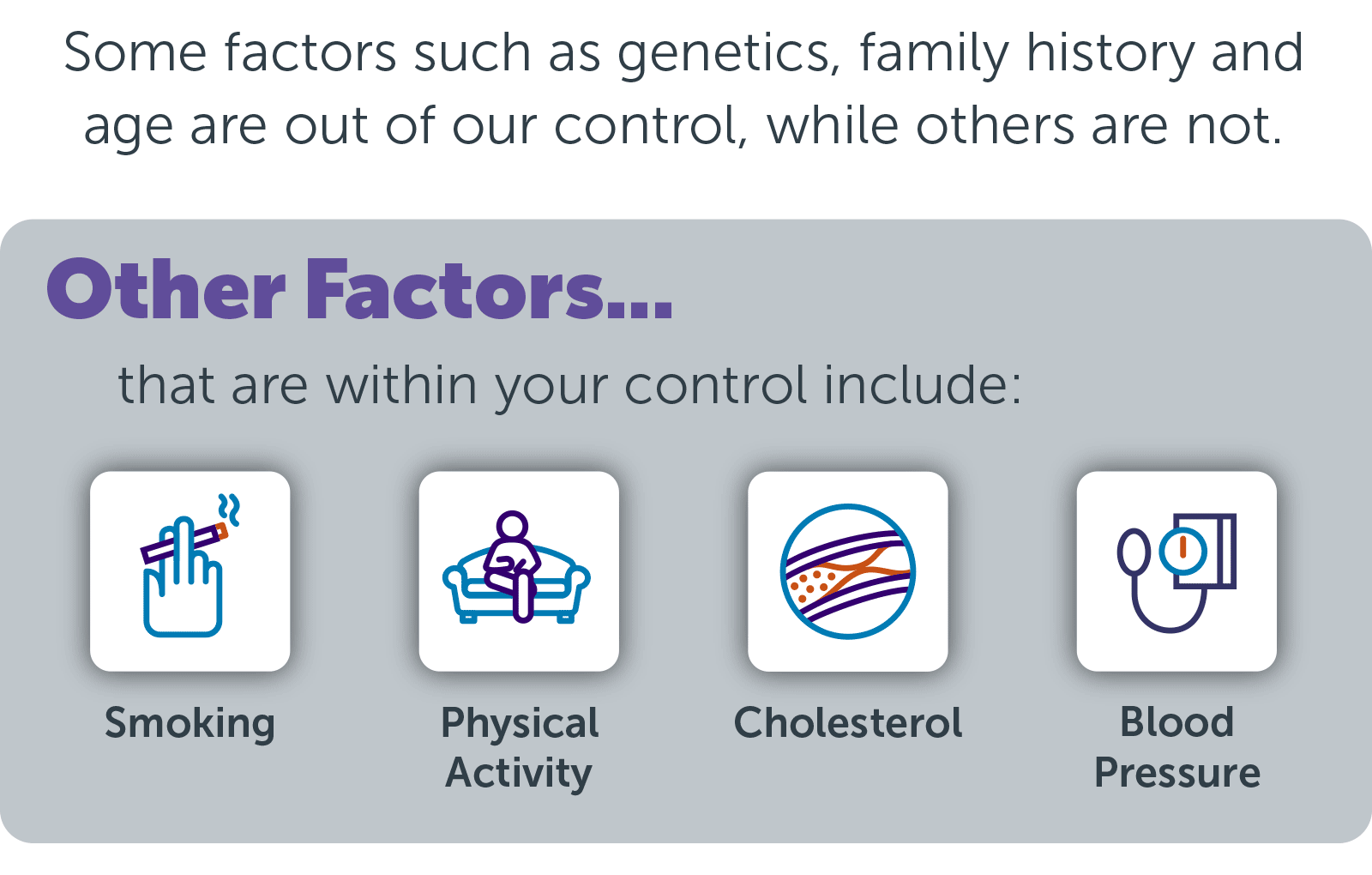 Heart & Vascular Infographic