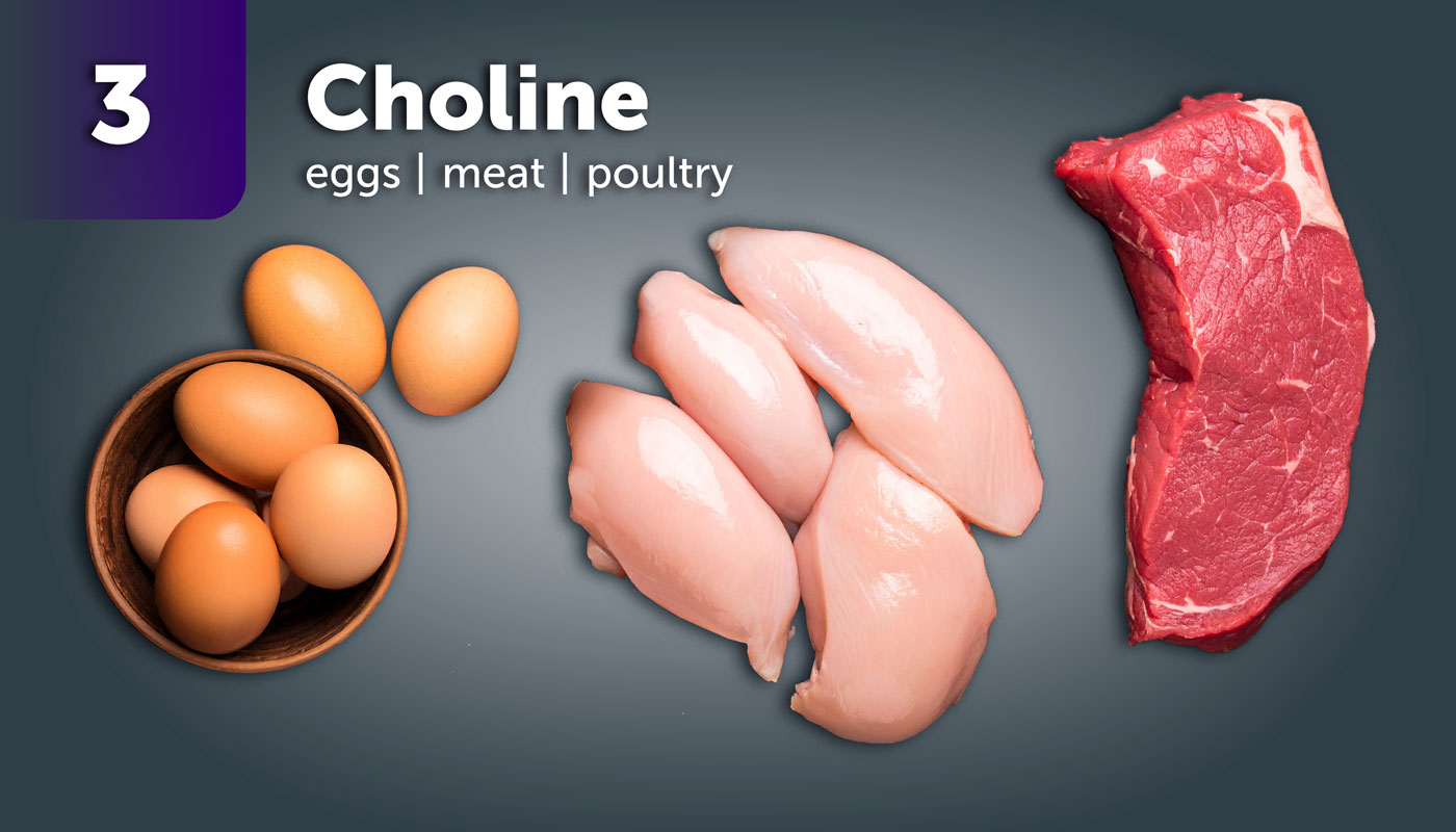 Choline (eggs, meat, poultry)