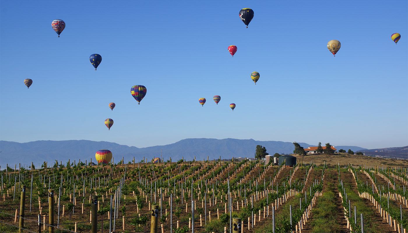 Temecula Wine & Balloon Festival